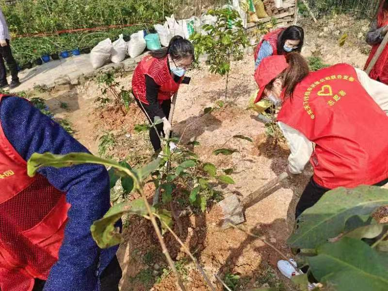 学雷锋 植新绿
